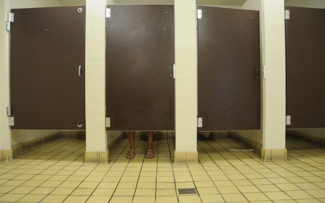 Road Trip Potty: Your Solution to Clean Restroom Stops Every Time